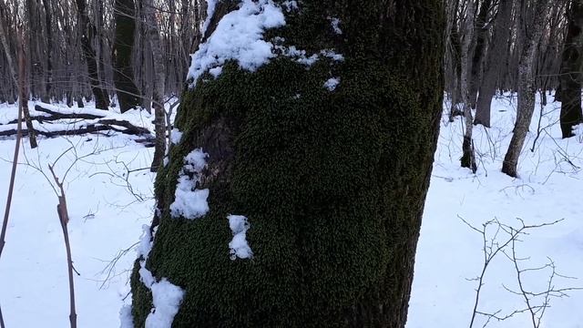 Строительный материал для гнезд