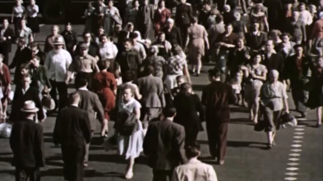 Семья Светофоровых 1 сезон 39 серия "Разметка" смотреть онлайн