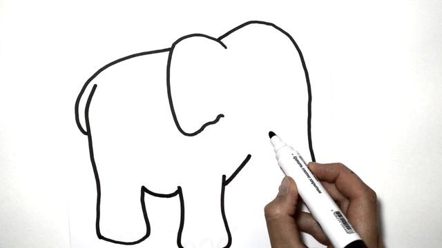 ELEPHANT!!! How To Draw An Elephant