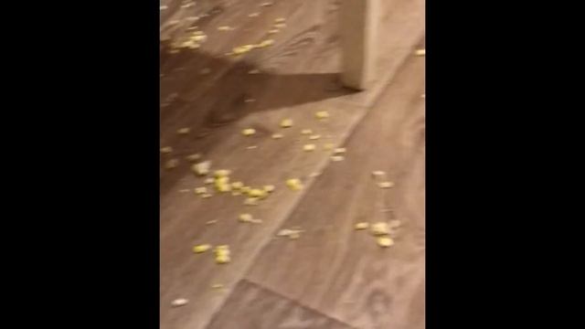 и черт это как вариант \ детка\чат рулетка\\\ смотреть онлайн