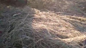 работа пресс подборщика СТАР 2000