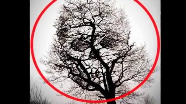 30 загадочных фото снятых на камеру