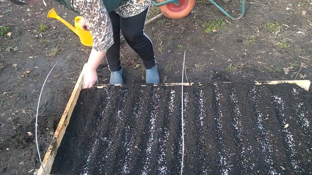 КАПУСТА ПОСЕВ НА РАССАДУ В МИНИ ПАРНИК смотреть онлайн