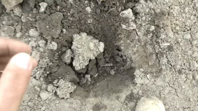 Зачетный коп с камрадами и не мало монет #####Sorex Pro смотреть онлайн
