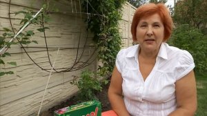 КЛЕМАТИС УХОД - маленький секрет - вызываем повторное цветение клематиса