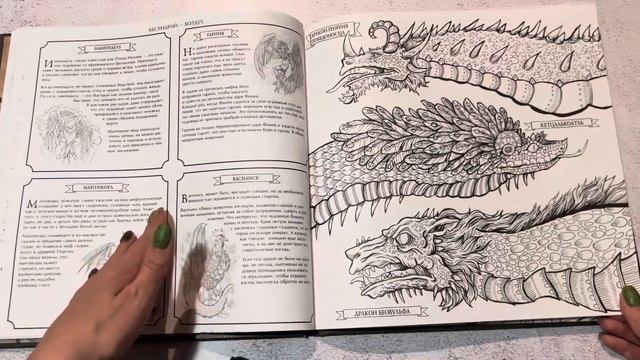 Обзор книги-раскраски «Фантастические существа» смотреть онлайн