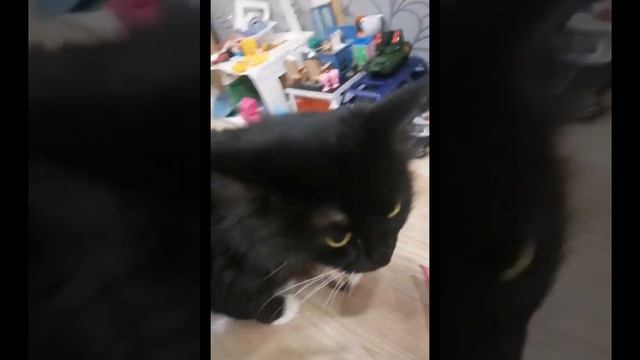 Челлендж "Большой, средний, маленький". Видео челлендж "24 в сумке холодильнике", смотрите на канал смотреть онлайн