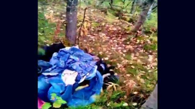 Вещи в лесу смотреть онлайн