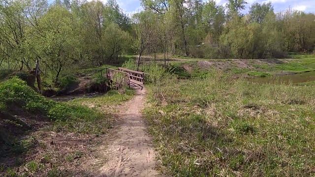Снимаю в парке!!! Водяная крыса!!! смотреть онлайн