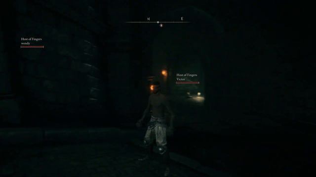 Adventures In The Wastelands Between | ELDEN RING CO-OP смотреть онлайн