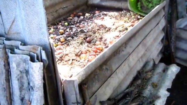 КОМПОСТНЫЙ ЯЩИК это очень полезно смотреть онлайн