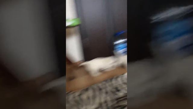 Мимими смотреть онлайн