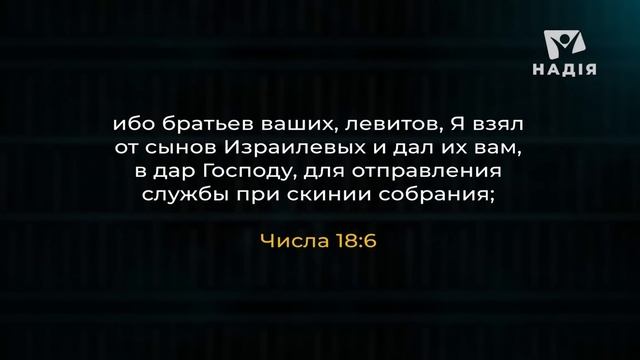 Когда Проклятие стало Благословением: История Левия  Феликс Понятовский