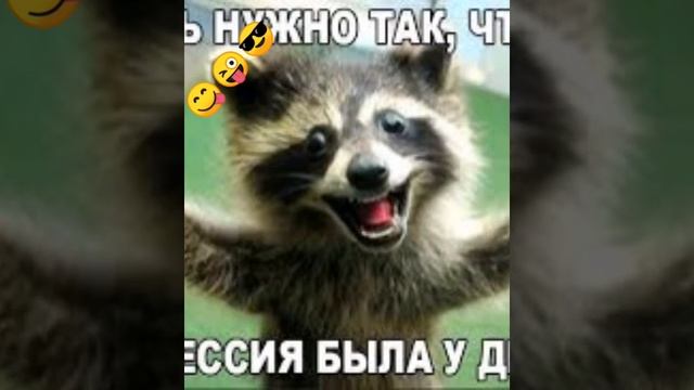 Прикольные картинки животных смотреть онлайн