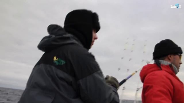 Predator Expedition Онежское озеро. Вытегра, смотреть онлайн