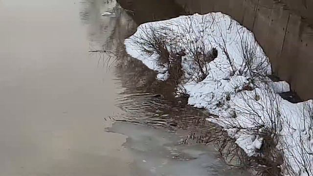 Хата бобра смотреть онлайн