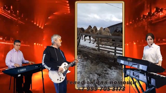 Кончился долгий день В помощь МАВРИКУ и его друзьям виа ОРФЕЙ смотреть онлайн