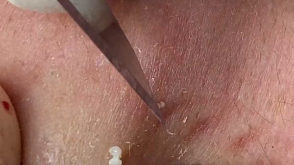 Relax Every Day With Sac Dep Spa #0179