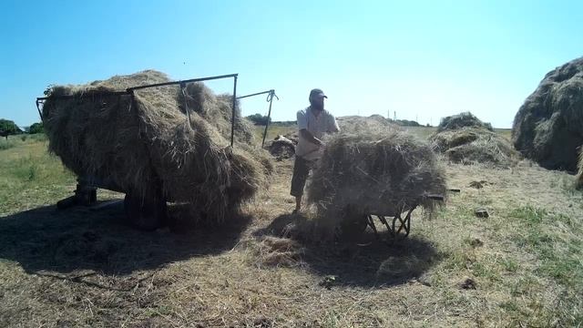 тащу сено на тачке. смотреть онлайн