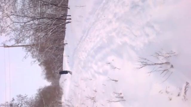 Романя на териконе, freeride :D смотреть онлайн