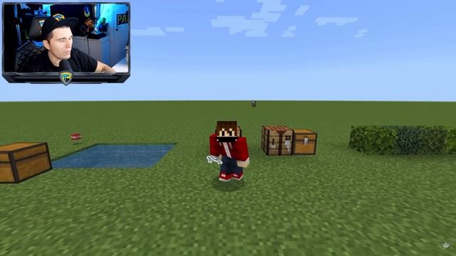 Paluten REAGIERT auf 20+ Java vs Bedrock Dinge in Minecraft смотреть онлайн