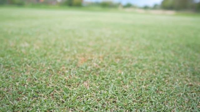 Гольф с Марией Орловой в Nirwana Bali Golf Club | My Dream Golf смотреть онлайн