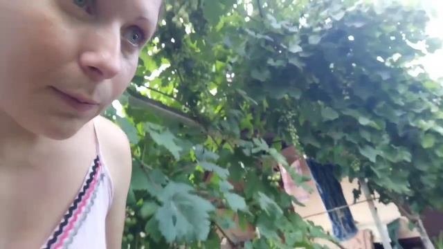 Выращивание огурцов и других культур в Крыму смотреть онлайн