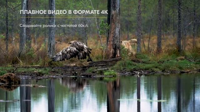 Новинка Nikon Z7II - скоро в продаже! смотреть онлайн