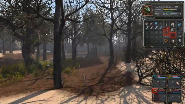Let's Play Legend of Grimrock II The Guardians Great Update # 49 all Secrets Citadel Approach смотреть онлайн