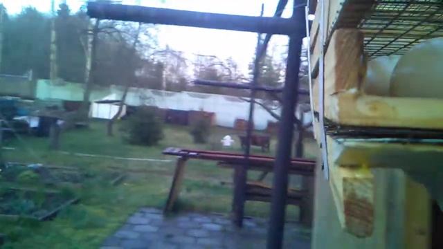 Достаю копчёные яйца смотреть онлайн