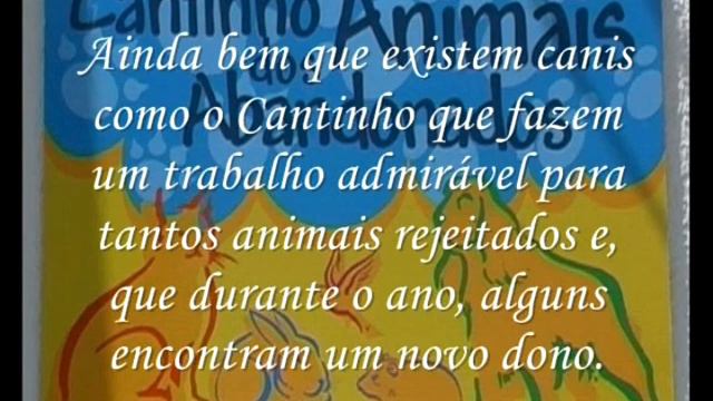 Cantinho dos Animais Abandonados de Viseu смотреть онлайн