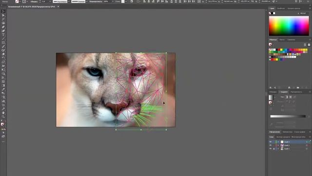 Low poly Puma Adobe Illustrator 2020 смотреть онлайн