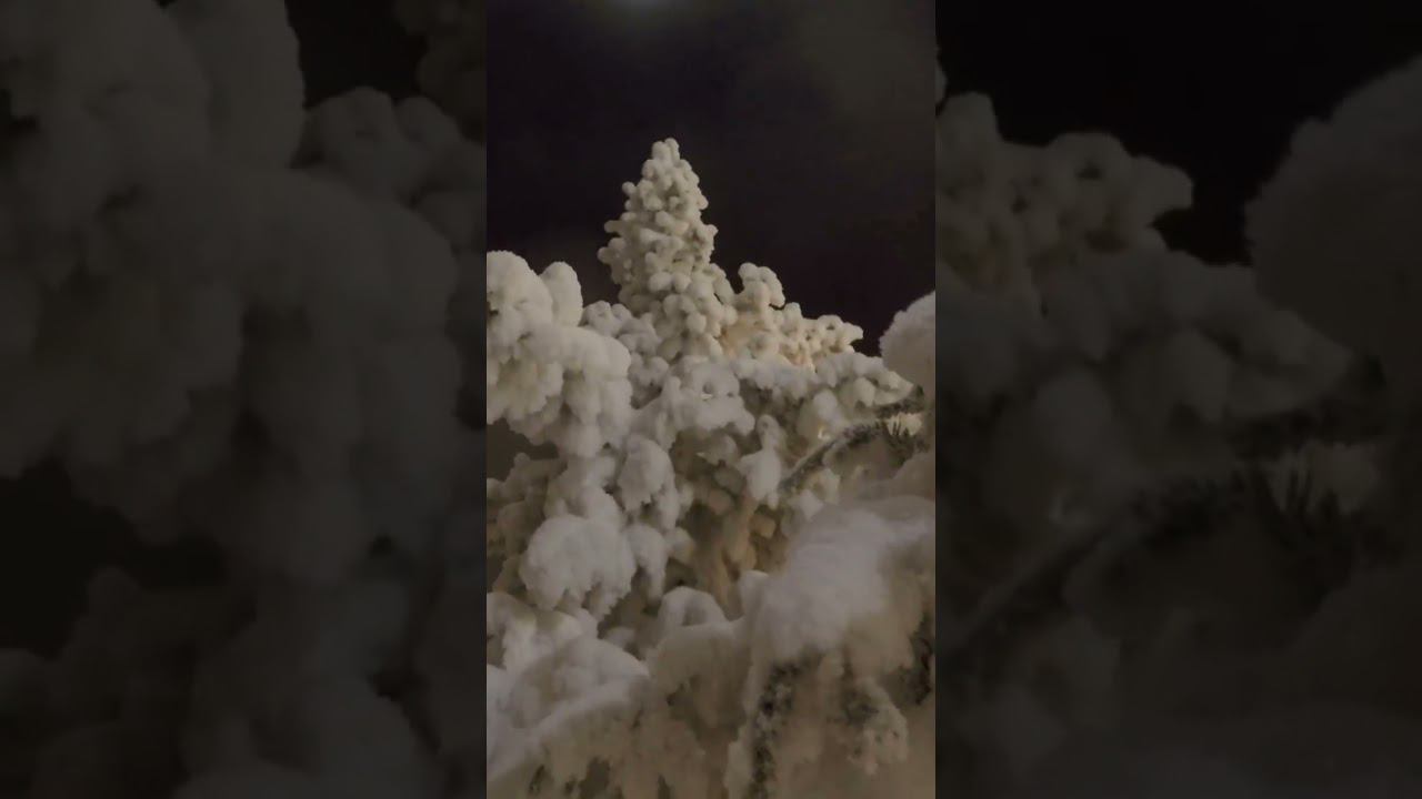 красотища то какая смотреть онлайн