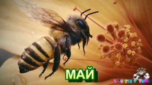 Что такое ВЕСНА?  Весенние месяцы, признаки весны, весенние явления природы. Первая серия.