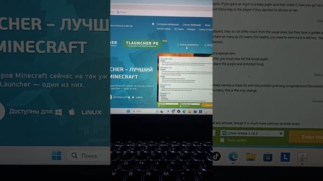 Как скачать Tlauncher на ноутбук без вирусов под конец года!!! смотреть онлайн