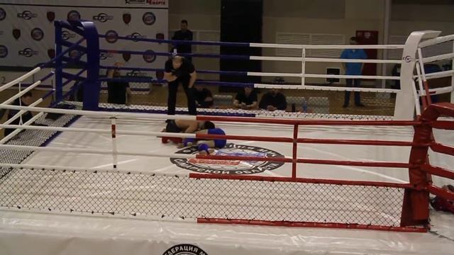 MMA Samara 2017 12 смотреть онлайн