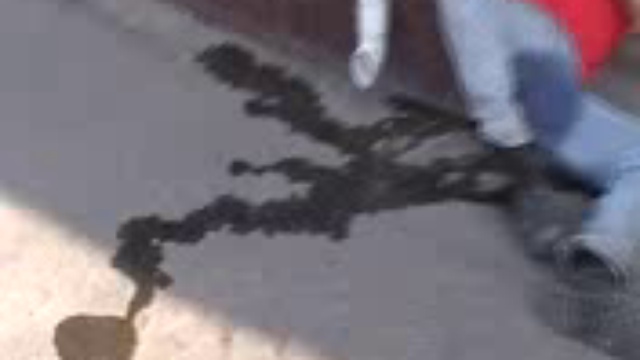 Пись-пись...