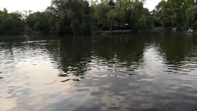191# Вышивальная неделя 17.08 по 24.08.2019/Готовая работа/Вышивка крестиком смотреть онлайн