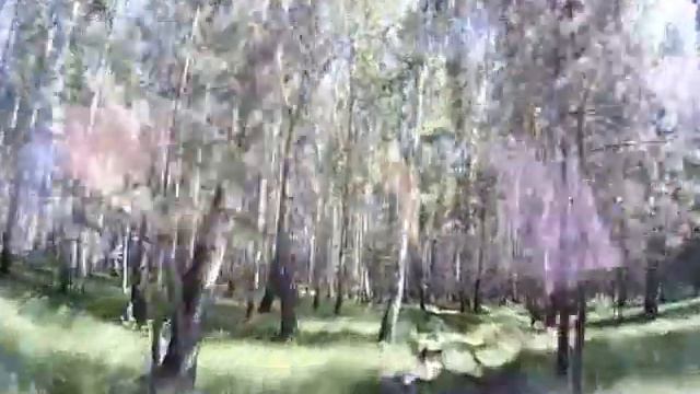 Знакомимся? Приглашение на лесную прогулку смотреть онлайн