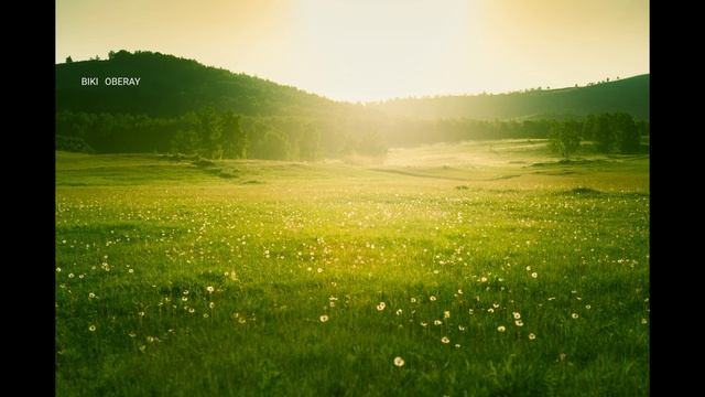 जितना पैसा खर्च करोगे उतना बढेगा । ज्योतिषीय सूत्र || #astrology смотреть онлайн
