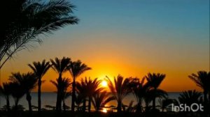 Сура 18 "аль-Кахф" (Пещера) с переводом/красивое чтение/ слушай в пятницу.