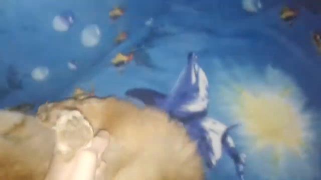 Кот кусается смотреть онлайн