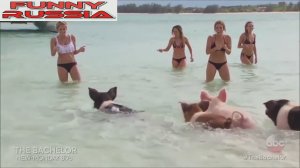 ПРИКОЛ Лучшие приколы 2018 ржака до слез угар прикол - ПРИКОЛЮХА