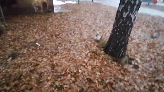 Сказка в Омске, Чернолучье смотреть онлайн