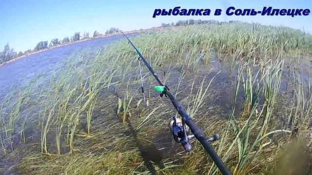 Ловля карпа на бойлы,тест покупных бойлов (тутти-фрутти).НЕУДАЧНАЯ ПОПЫТКА смотреть онлайн