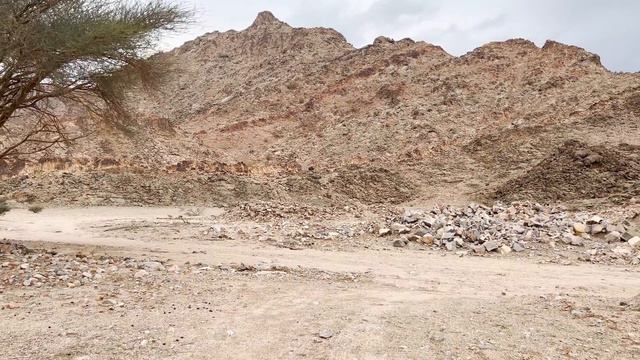 Madina Muqam Nozol E Quraan After Ghazwah E Badar смотреть онлайн