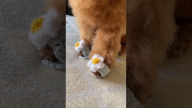 Связали тапочки смотреть онлайн
