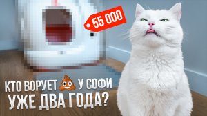 КАК МЫ ЖИЛИ БЕЗ НЕГО?? / PURA MAX Petkit: ОБЗОР НА АВТОМАТИЧЕСКИЙ ЛОТОК