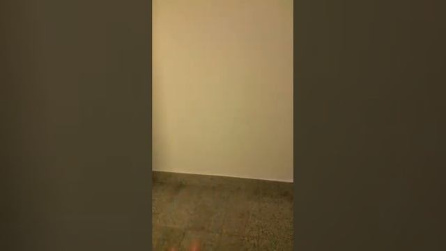 Morningside, New York City| Virtual Open House 1BR/1BA $2,200 Hamilton Heights |Rick Hernandez смотреть онлайн
