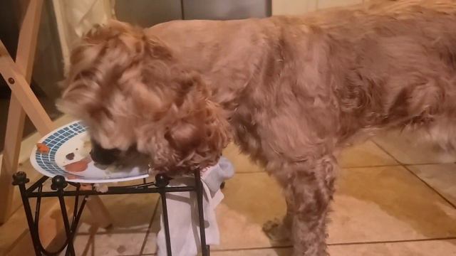 ЧЕСТНО О МОЕЙ ЖИЗНИ:ЗАЧЕМ Я ЭТО ДЕЛАЛА? ЗАВТРА БУДЕТ ЛУЧШЕ! 🤷♀️😀💋🥳 смотреть онлайн